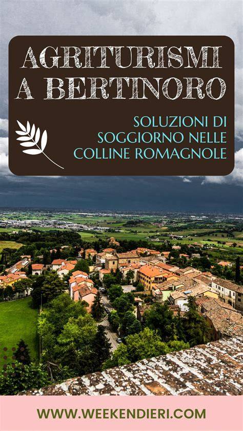 Allevamento suino nelle colline di Bertinoro