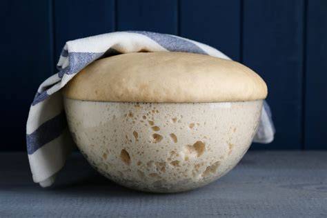 Effetto temperatura lievitazione impasto