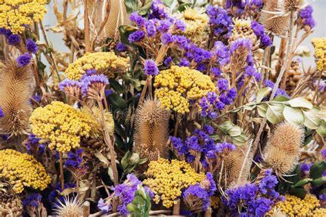 Fiori decorativi con legumi secchi
