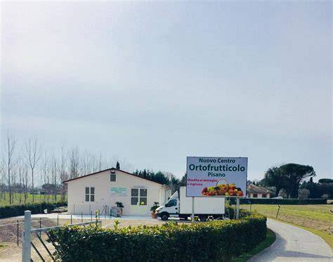 Stabilimento ortofrutticolo Giuliano in Puglia
