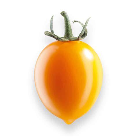 Tagliolino freddo con pomodoro giallo