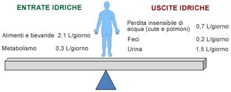 Patatine salate e bilancio idrico