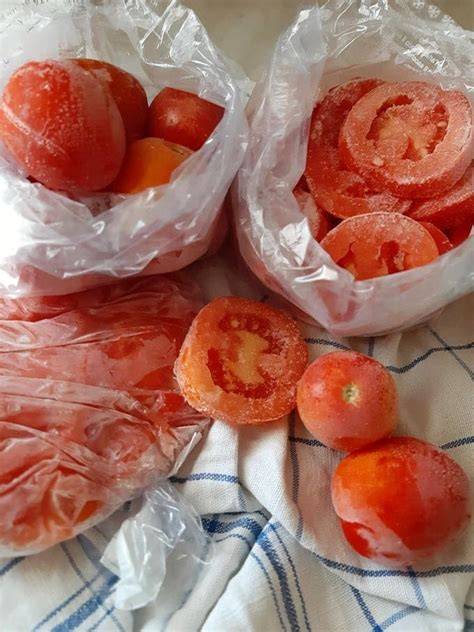 Pomodori frullati pronti per congelatore