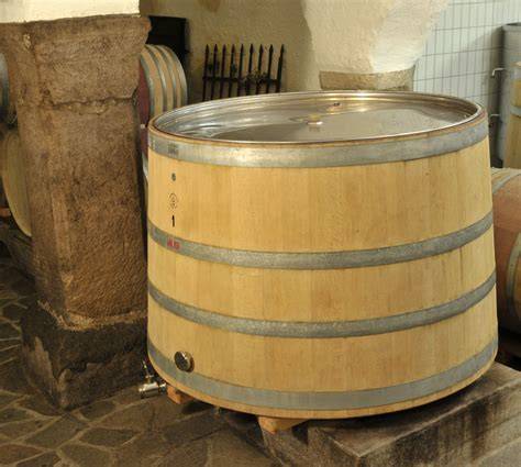 Tini di cedro per fermentazione della salsa
