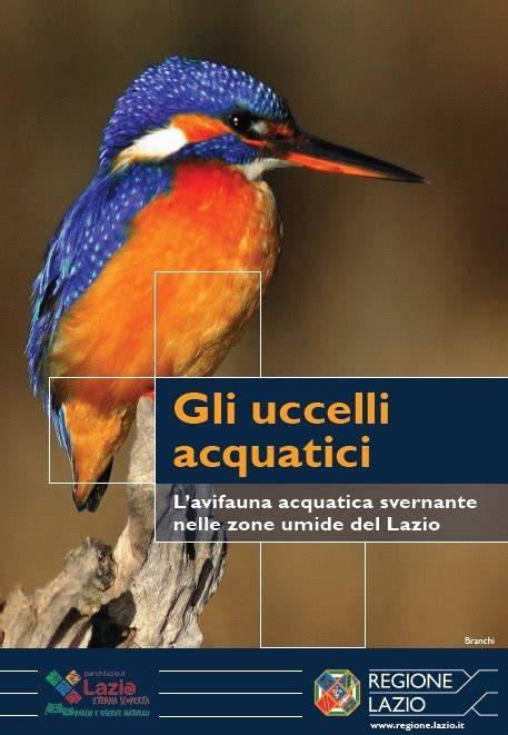 Uccelli acquatici nelle zone umide pugliesi