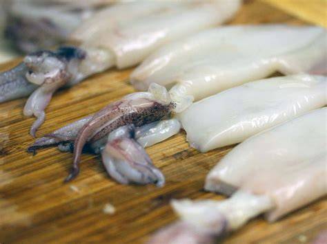 Calamari freschi puliti per farcitura