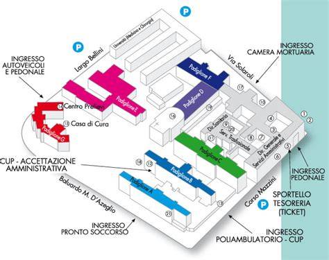 mappa sede Tomadini Gianluca Dignano