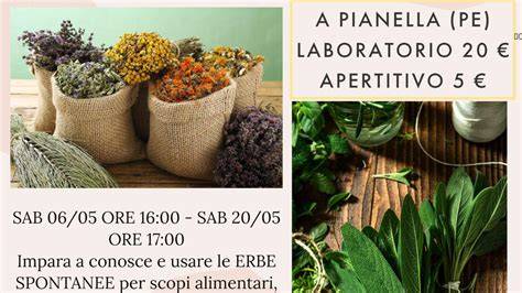 erbe spontanee e rugiada di San Giovanni