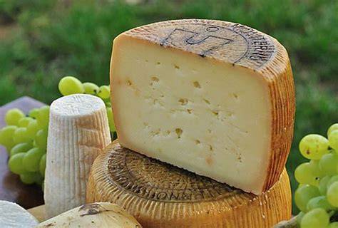 forme di pecorino in salamoia