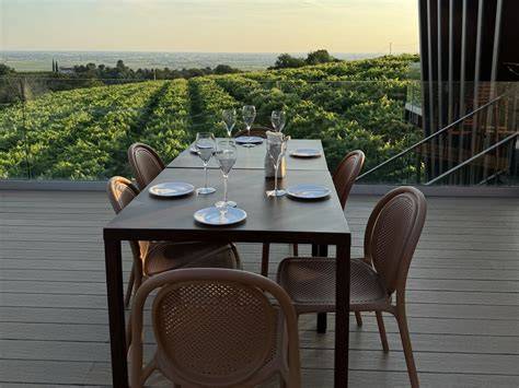 Terrazza panoramica sui vigneti