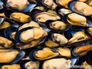 cozze con uovo in pentola