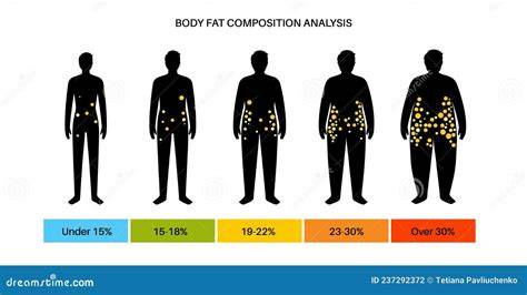 forme del corpo e distribuzione del grasso