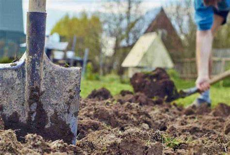 Preparazione del terreno per carote