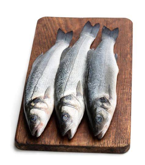 cefalo fresco intero su banco del pesce
