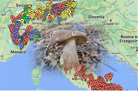 Cartina italiana delle principali zone dei porcini
