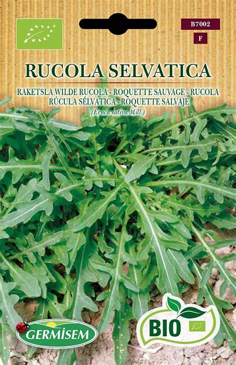Semi di rucola e farina disoleata