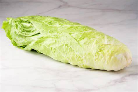 Cespo di radicchio pan di zucchero