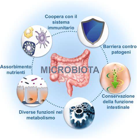 Benefici delle fibre sul microbiota intestinale