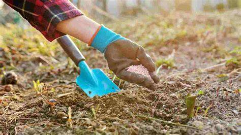 Legumi e fertilità del terreno