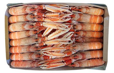 Scampi congelati interi confezionati