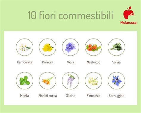 Decorazione albero frutta con menta fiori commestibili