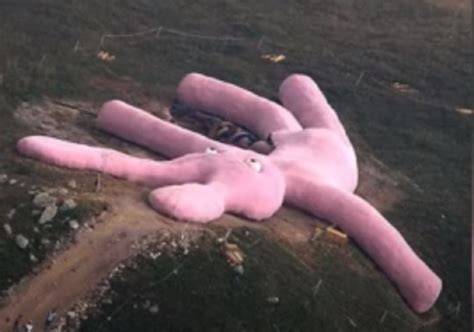 Coniglio rosa gigante sul Colletto Fava