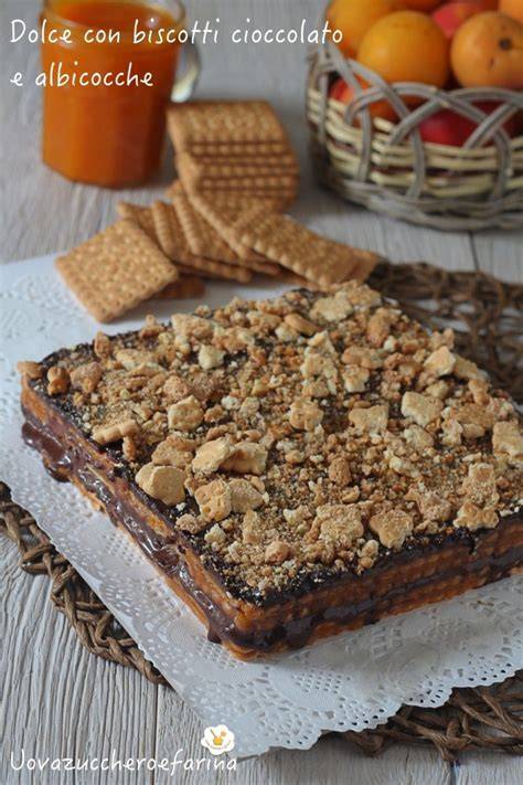Schema strati dolce al cioccolato albicocche