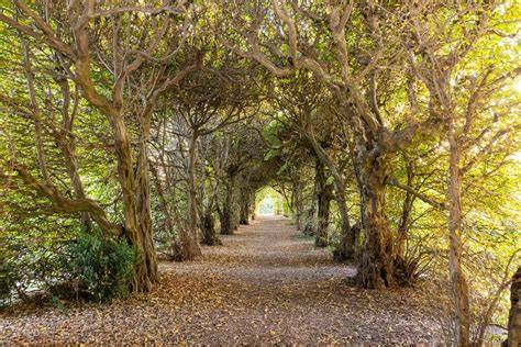 Maria Paola Cocchiere giardino storico paesaggio