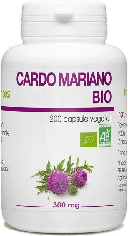 Cardo mariano pianta e capsule vegetali
