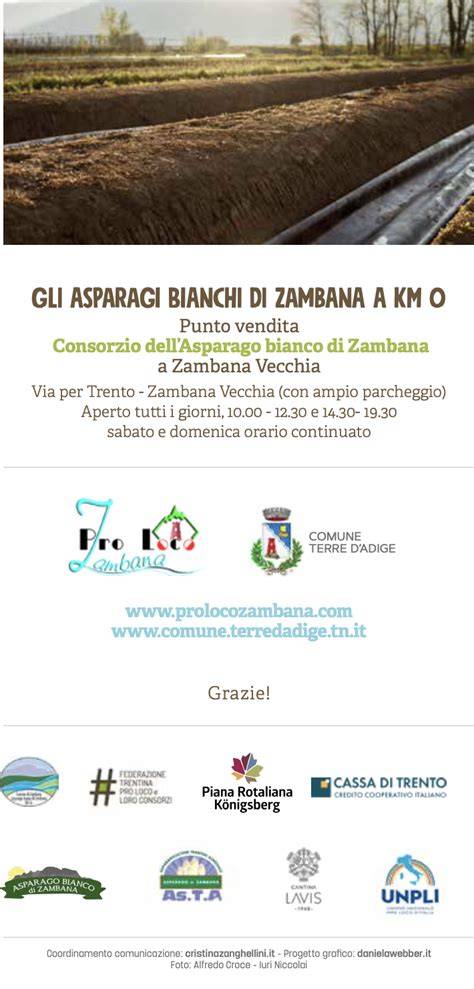 Terreni sabbiosi dell’Asparago Bianco di Zambana