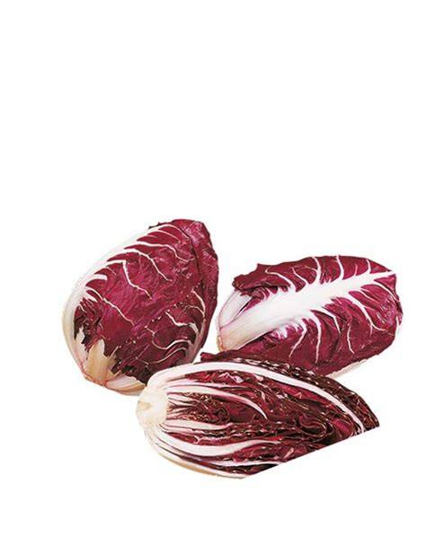 Radicchio rosso di Verona in orto