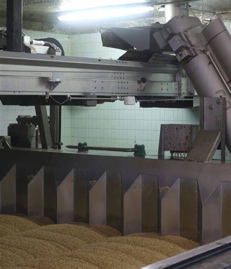 Stabilimento di lavorazione della quinoa