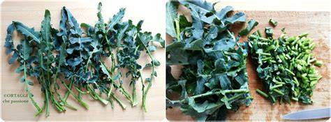 Broccolo con foglie lisce in cucina