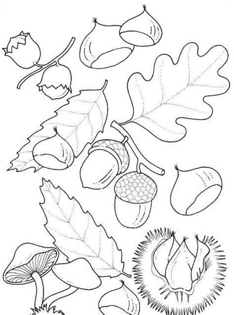 Disegni di noci e castagne da colorare