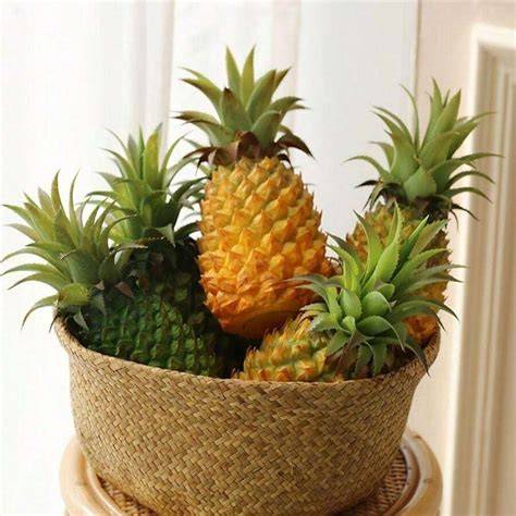 ananas artificiale gigante per buffet