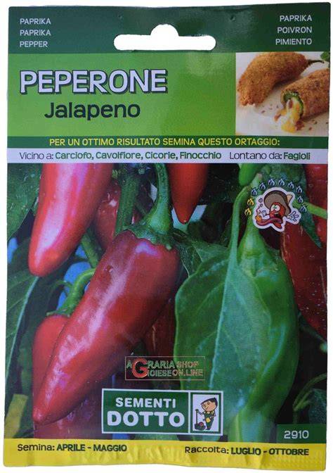 semi di peperone maturi