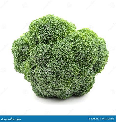 Broccolo con testa compatta nell’orto
